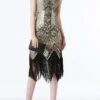 Glitter Fringe 1920s Flapper Dress
