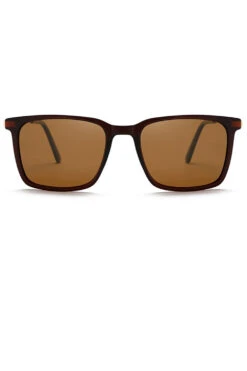Men's Fashion Sunglasses -Zapaka Sales Store CGLLY30228 Brown 2