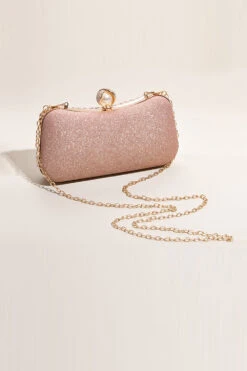 Glitter Blush Beaded Party Clutch -Zapaka Sales Store CGZL221047 Blush 3