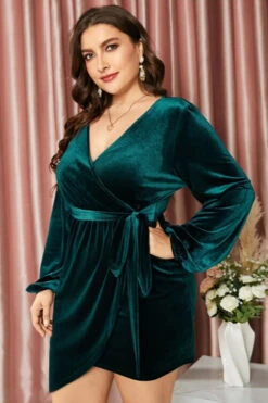 Plus Size Dark Green Velvet Dress -Zapaka Sales Store CGZL2218790 Dark Green 3
