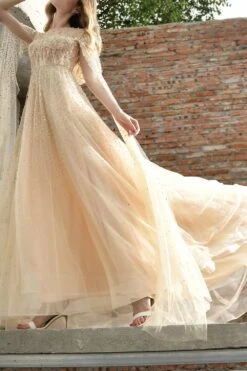 Champagne Beaded Long Prom Dress -Zapaka Sales Store DSC 4428