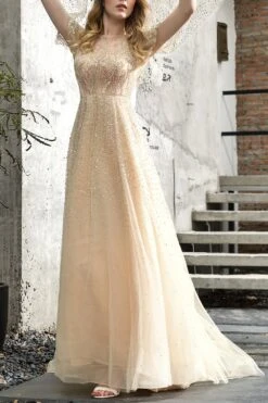 Champagne Beaded Long Prom Dress -Zapaka Sales Store DSC 4454