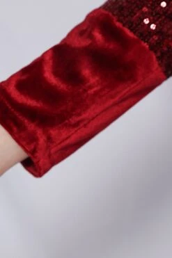 Burgundy Sequins & Velvet Cocktail Dress -Zapaka Sales Store ZPKCGZL21300 Burgundy 6