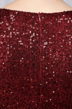 Burgundy Sequins & Velvet Cocktail Dress -Zapaka Sales Store ZPKCGZL21300 Burgundy 8