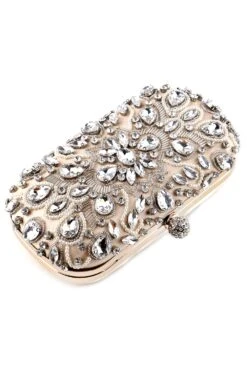 Banquet Evening Party Clutch -Zapaka Sales Store ZPKCGZL21647 Apricot 4