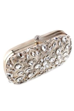 Banquet Evening Party Clutch -Zapaka Sales Store ZPKCGZL21647 Apricot 5