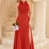 Rust Brown Open Back Bridesmaid Dress