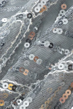 Sequin Glitter 1920s Cape -Zapaka Sales Store d77d2e0e ea03 404e 9c3a d4465a8a8784